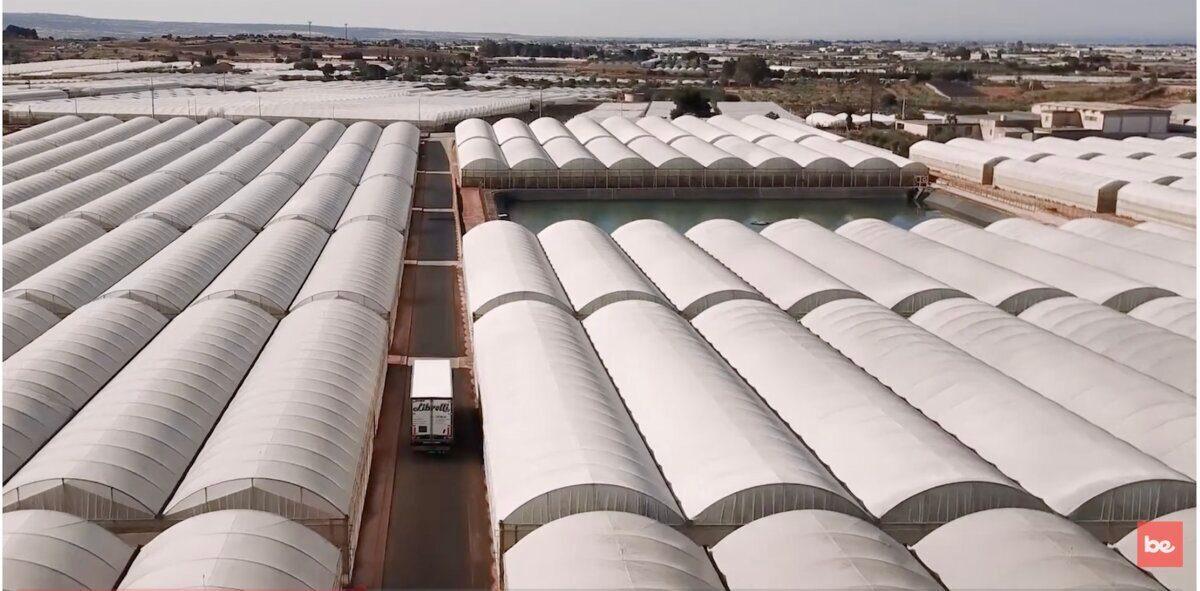 Hoima Plantation greenhouse rows